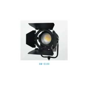 5W full-color animation laser light
